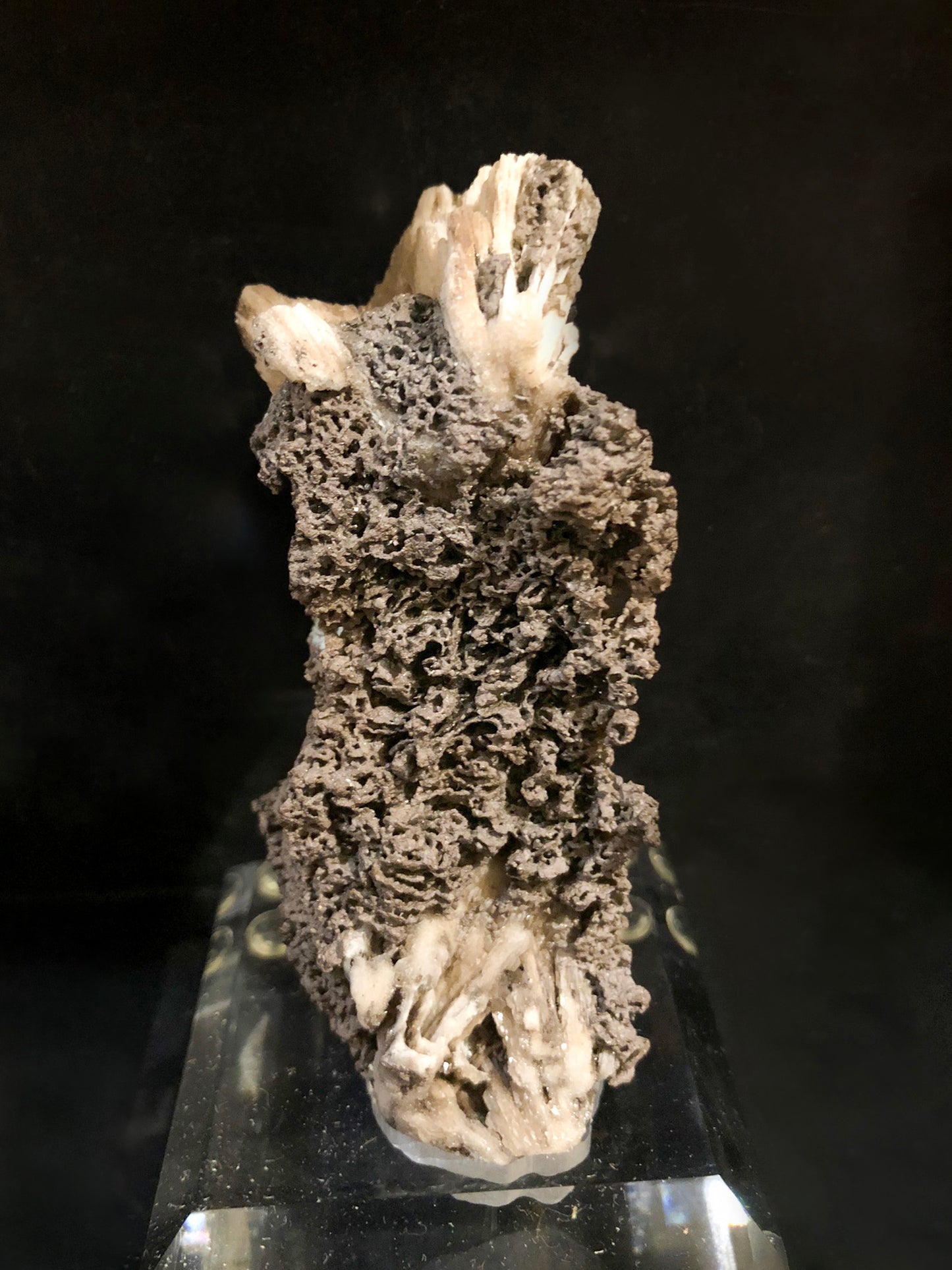 CHLORARGYRITE var. Embolite with CERUSSITE