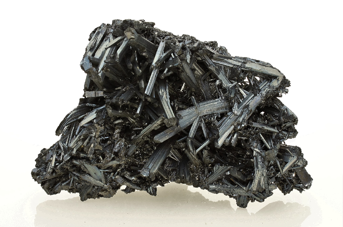 CC10665 specimen image