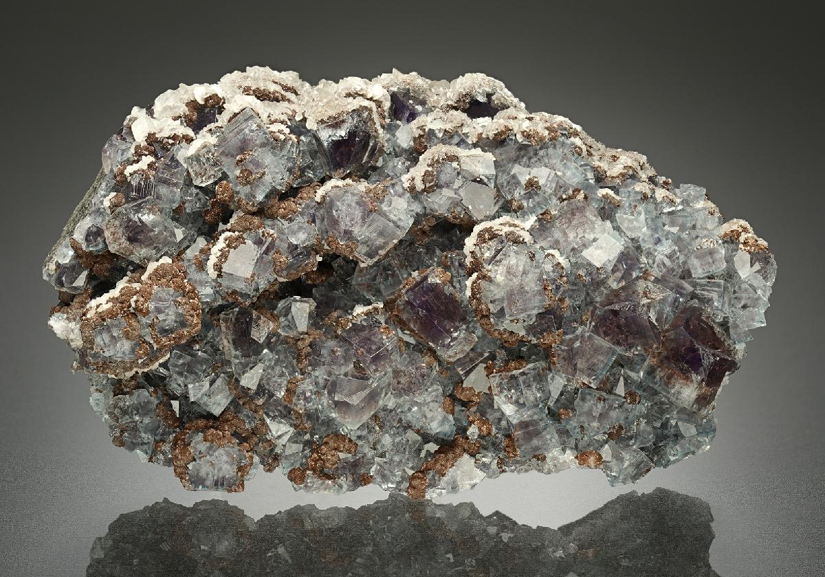 CC11014 specimen image