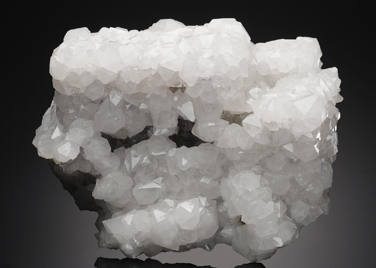 CC11165 specimen image