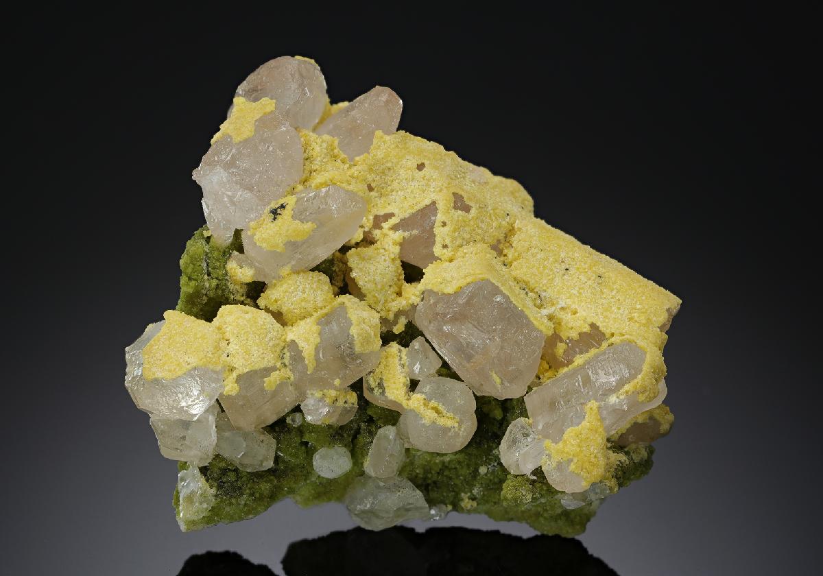 CC11570 specimen image