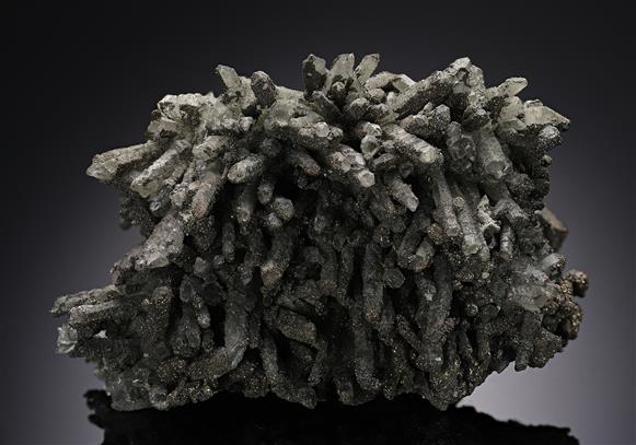 CC12705 specimen image