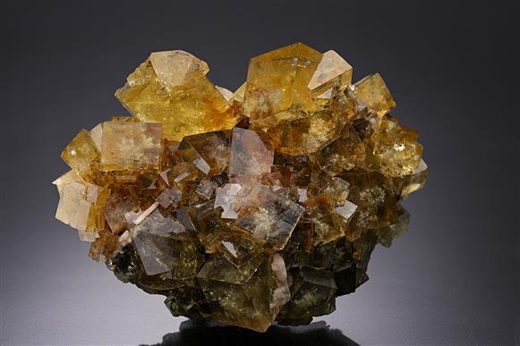 CC12865 specimen image