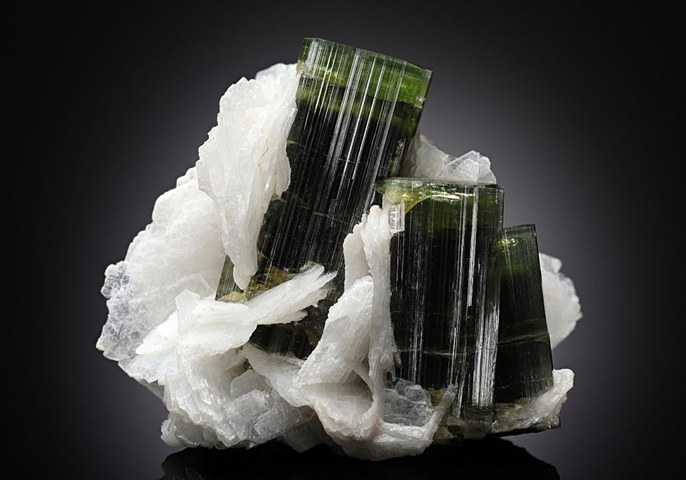 CC13035 specimen image