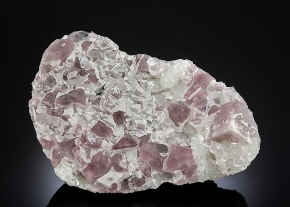 CC13152 specimen image