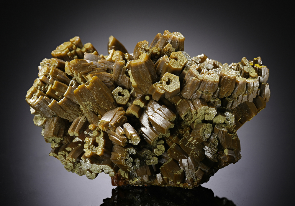 CC13312 specimen image