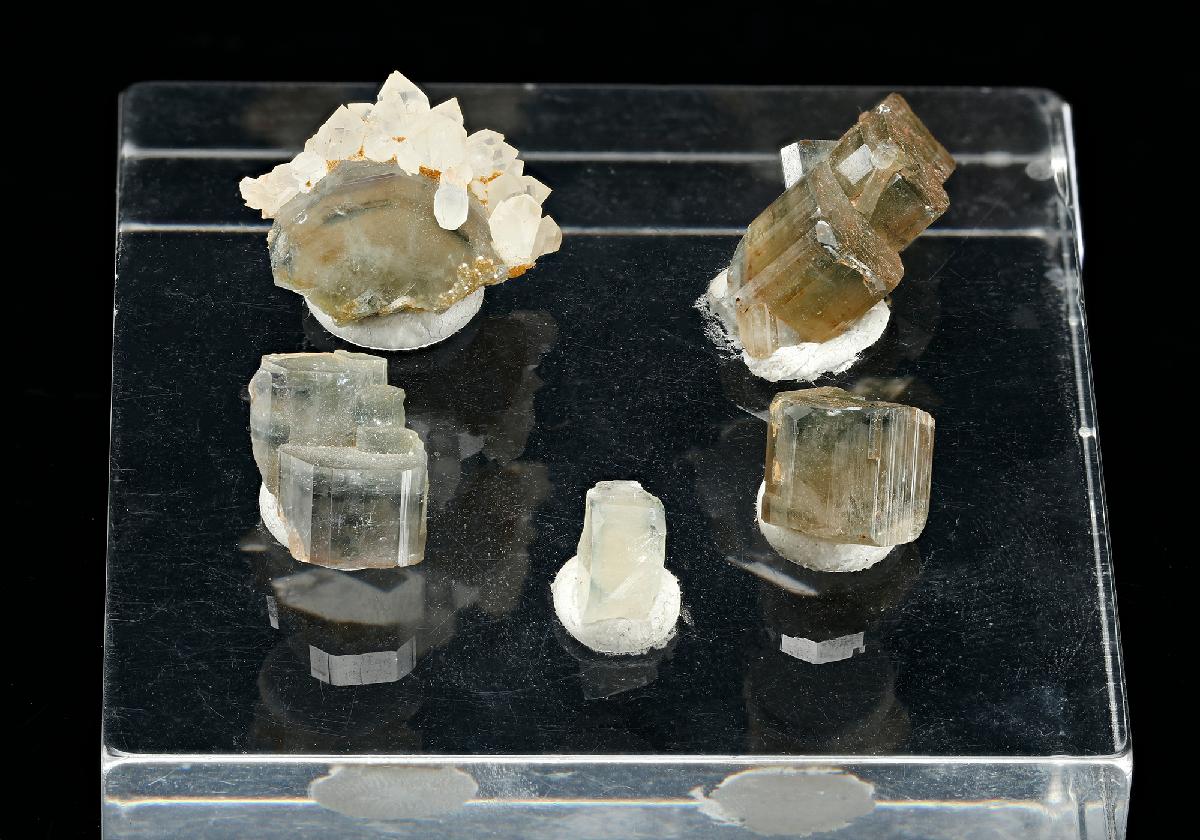 CC13396 specimen image