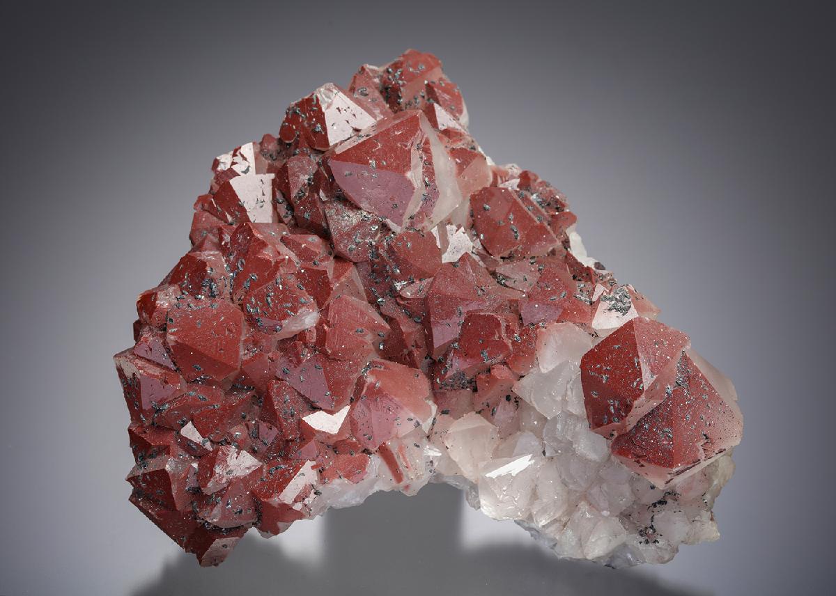CC13632 specimen image