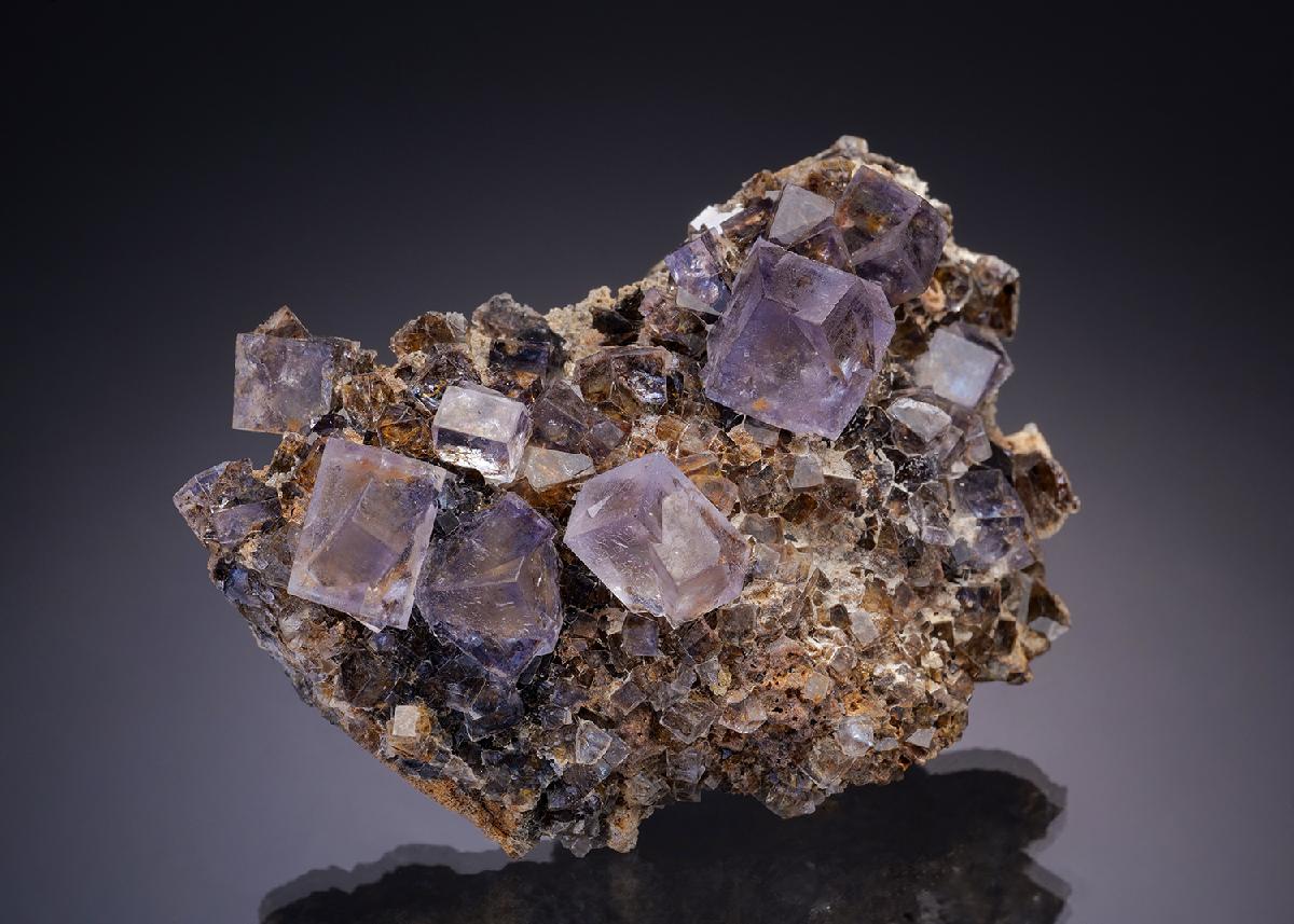CC13677 specimen image