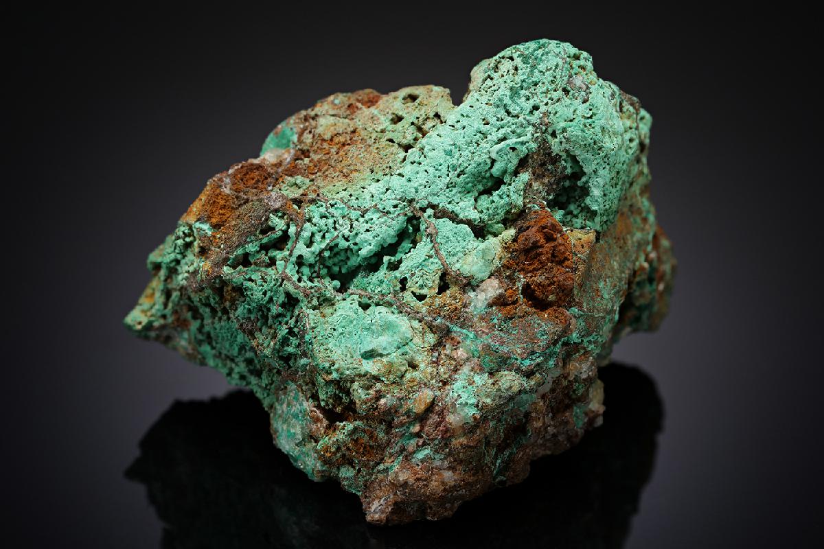 CC13691 specimen image