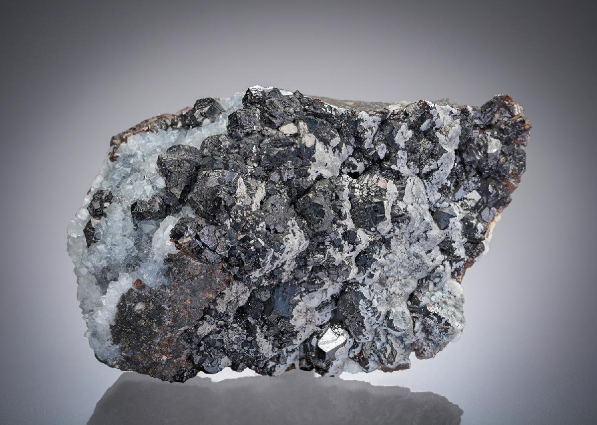 CC13957 specimen image