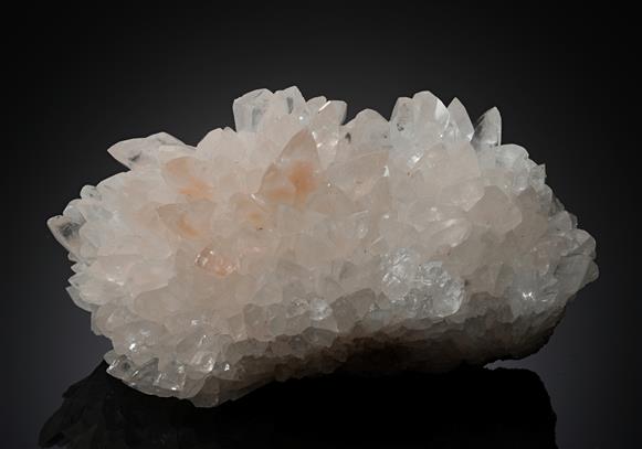 CC13964 specimen image