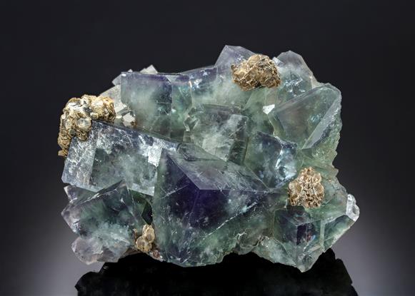 CC14010 specimen image