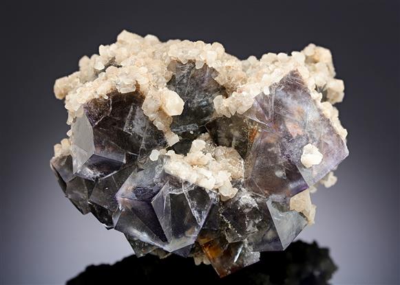 CC14015 specimen image