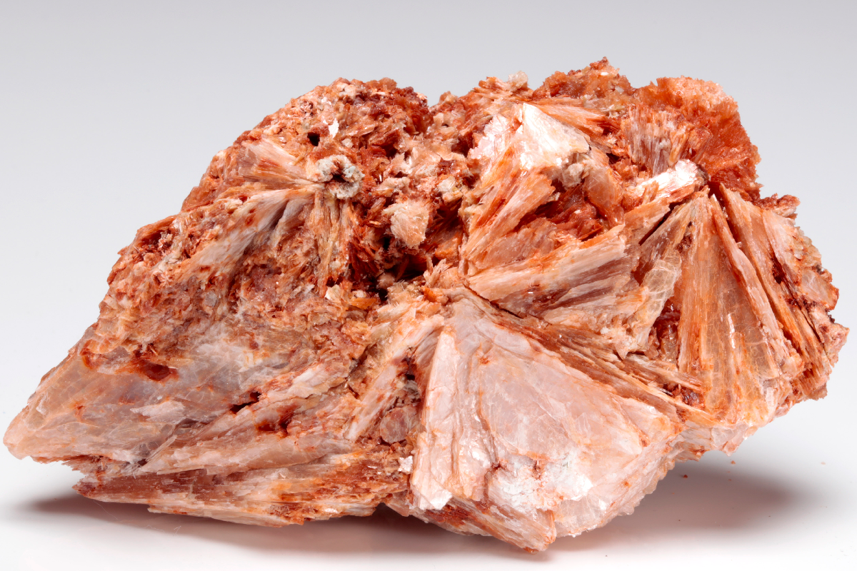 CC14090 specimen image