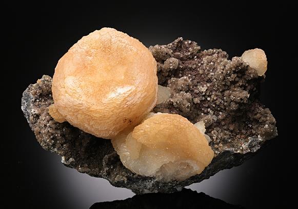 CC14514 specimen image