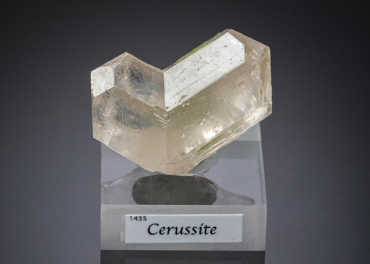 CC15759 specimen image