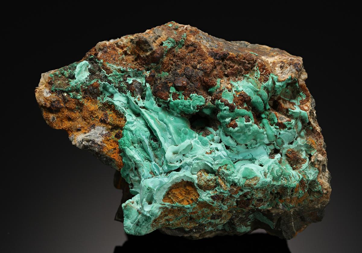 CC16839 specimen image