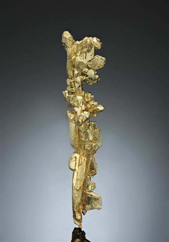 CC17075 specimen image