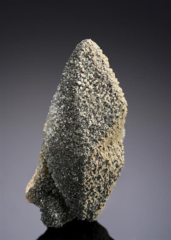 CC17306 specimen image