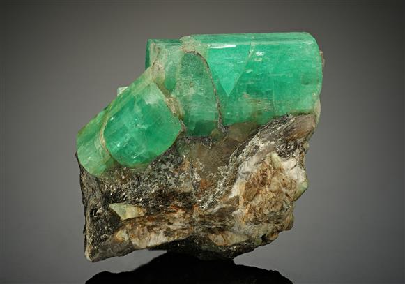 CC18252 specimen image