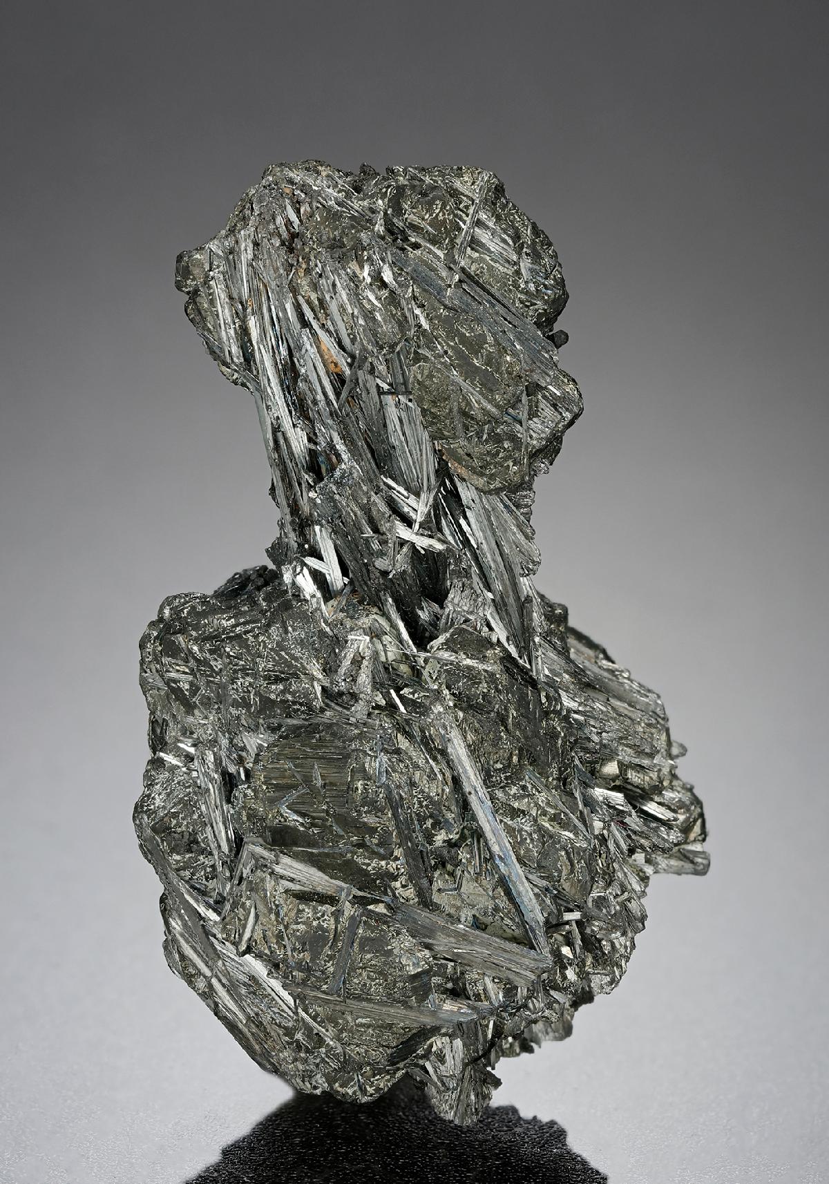 CC18419 specimen image