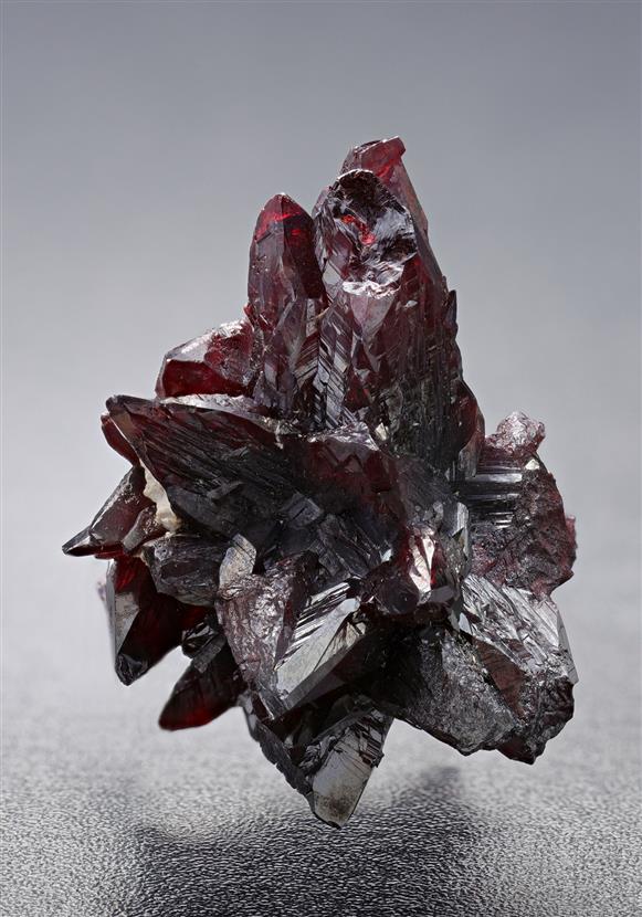 CC18627 specimen image