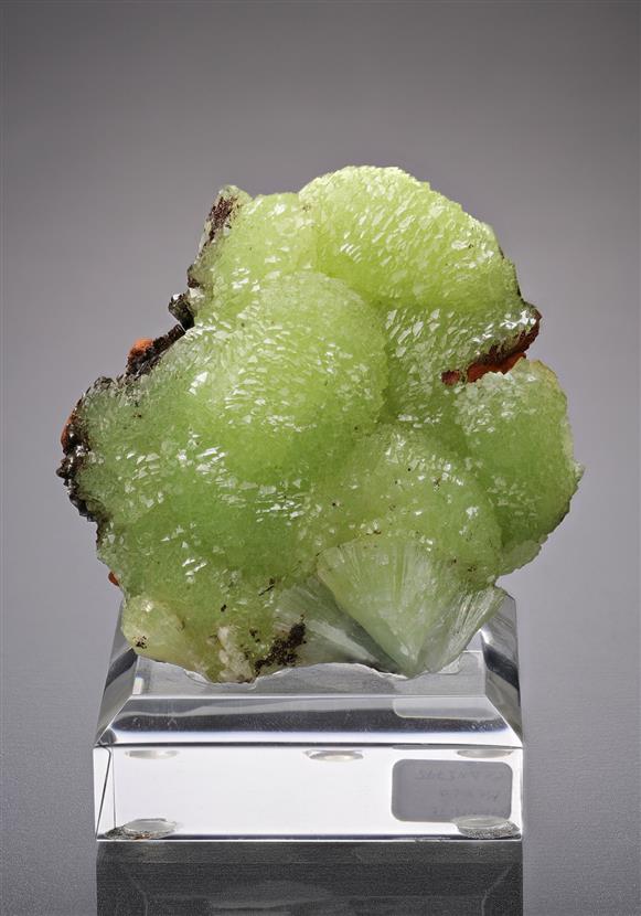 CC18631 specimen image