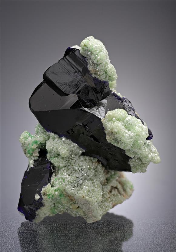 CC18633 specimen image