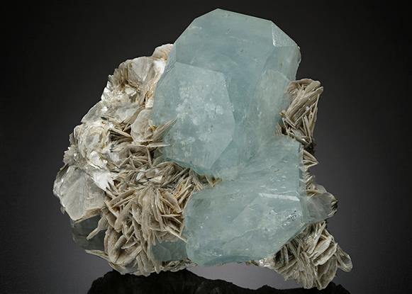 CC18649 specimen image