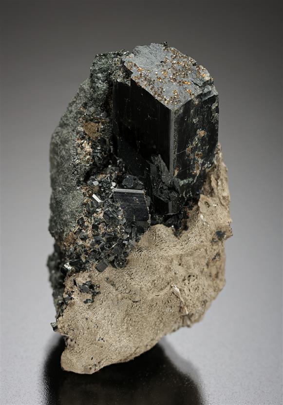 CC19144 specimen image