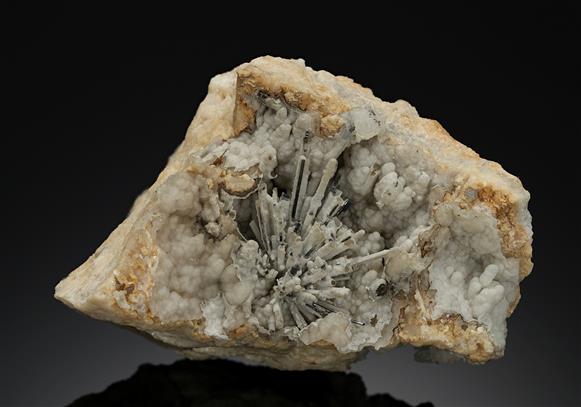 CC19195 specimen image