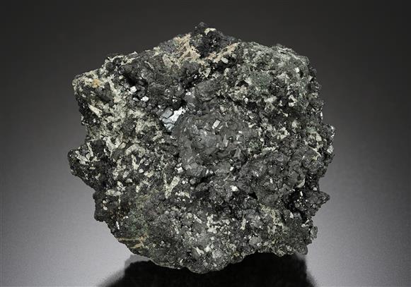 CC19196 specimen image