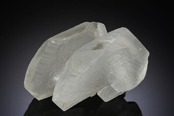 CC19425 specimen image