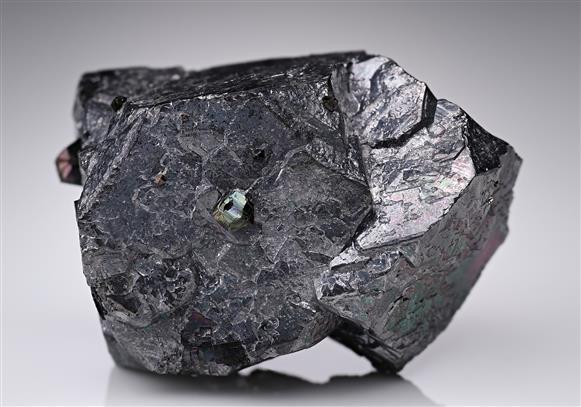 CC19630 specimen image