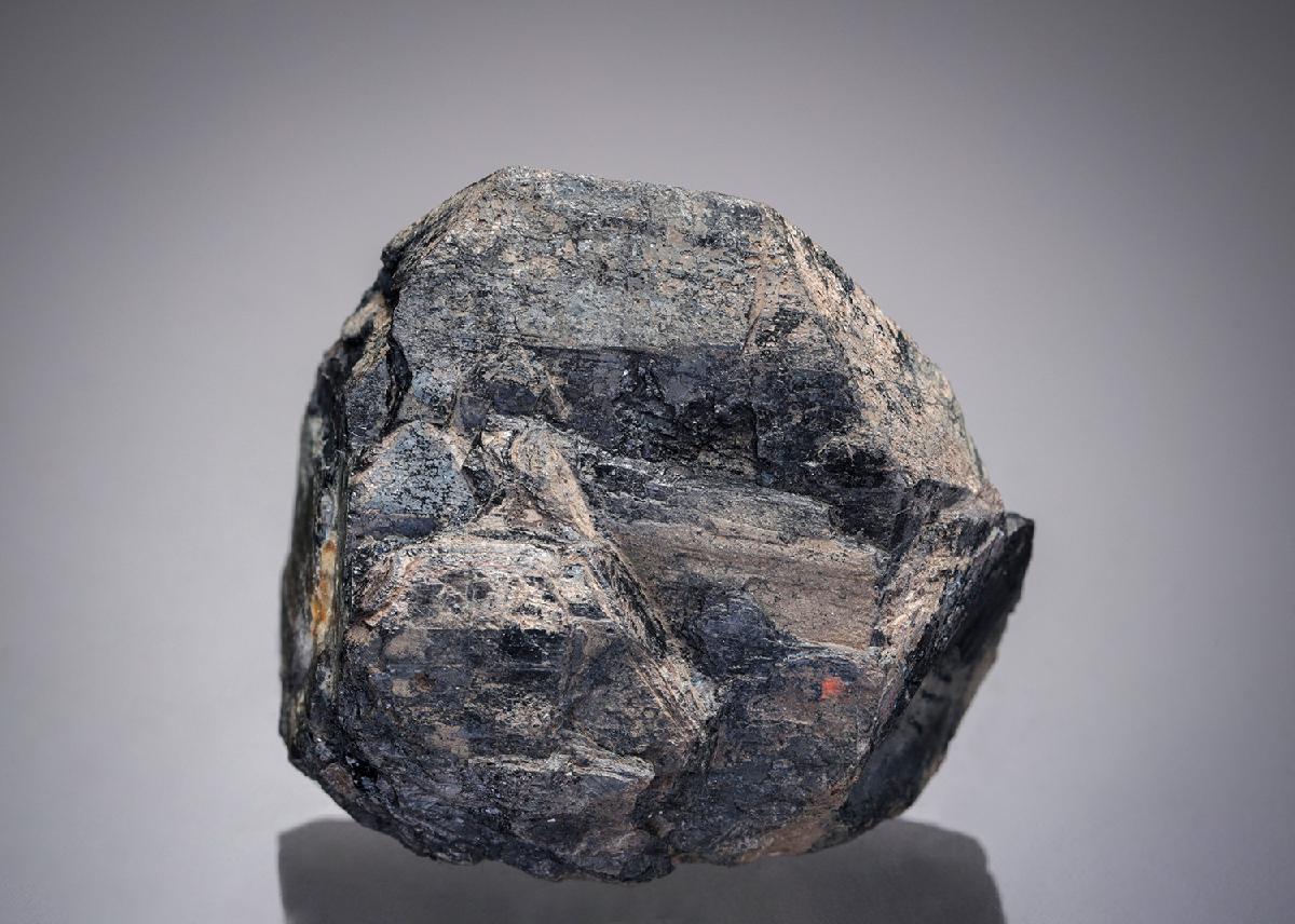 CC19703 specimen image