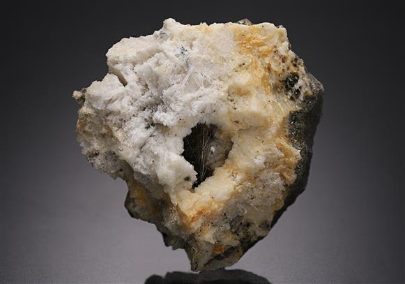 CC19779 specimen image
