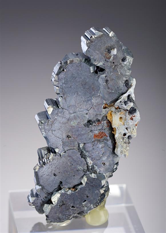 CC20006 specimen image