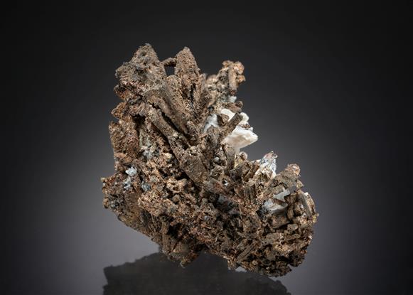 CC20220 specimen image
