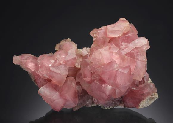CC20310 specimen image