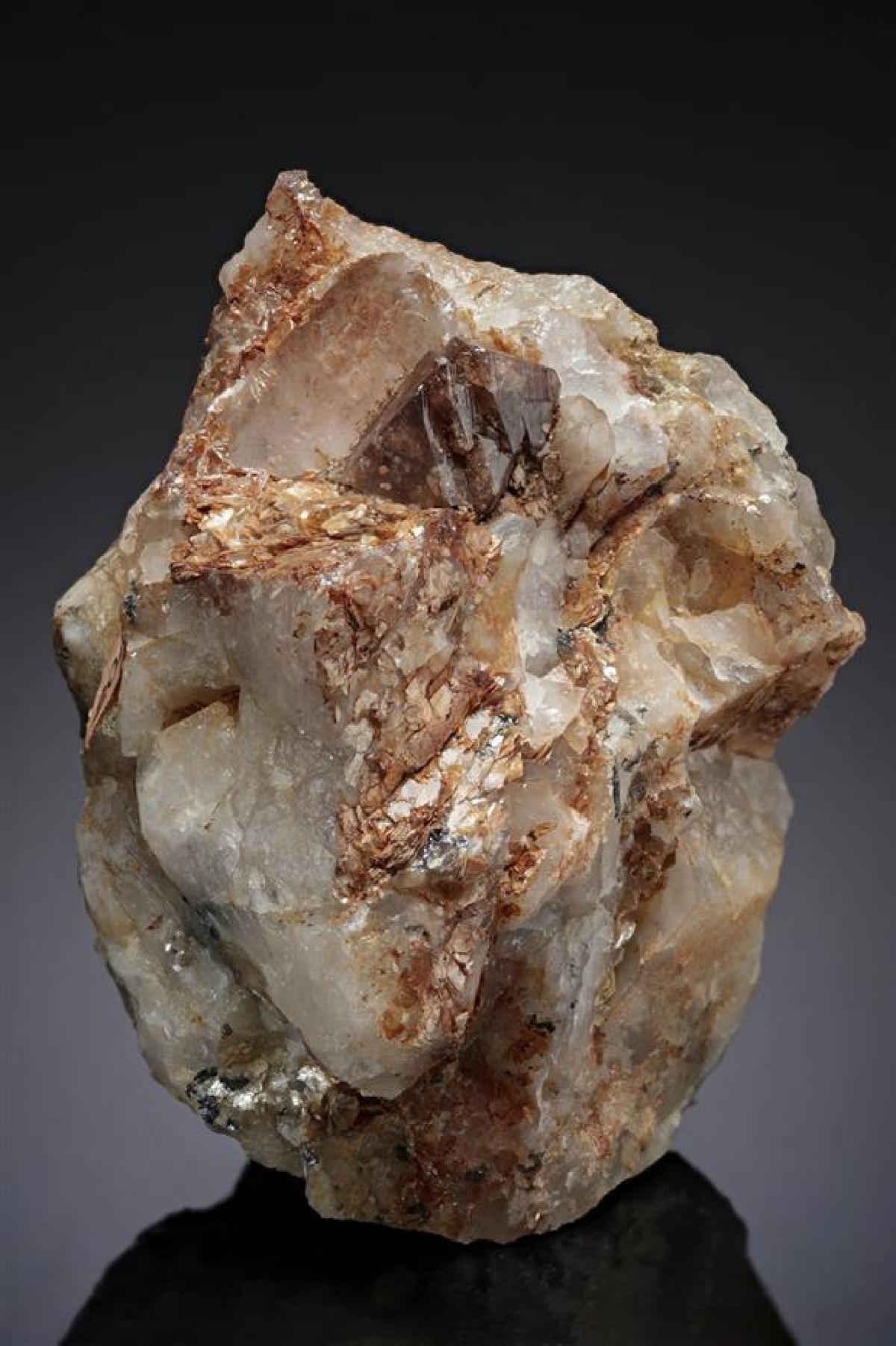 CC20317 specimen image