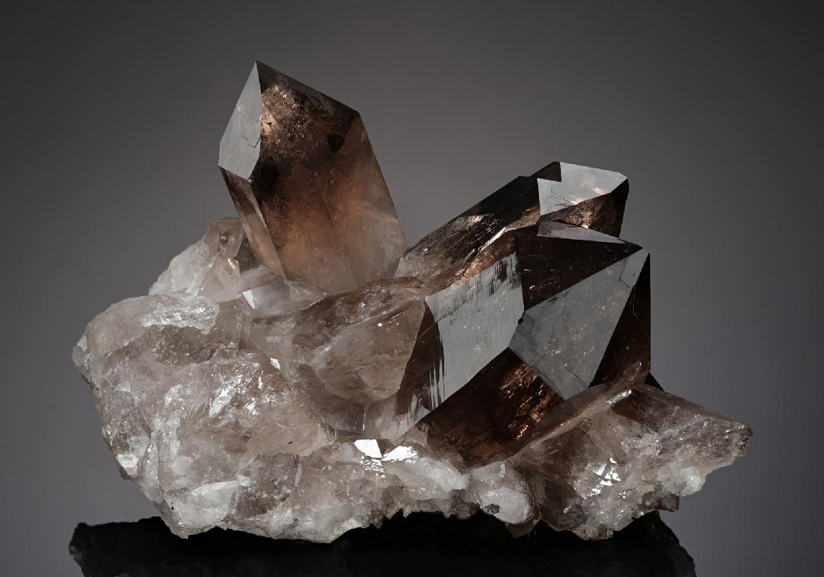 CC20416 specimen image