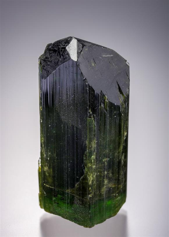 CC20427 specimen image