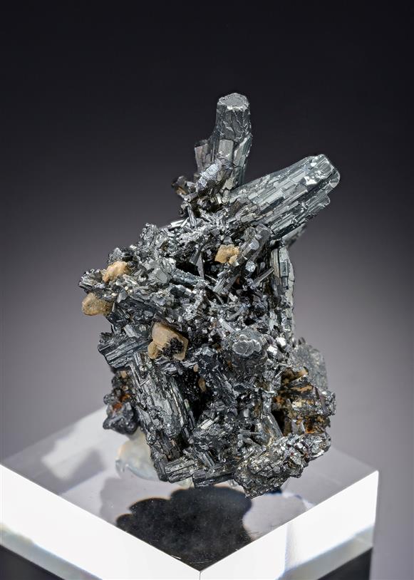 CC20821 specimen image