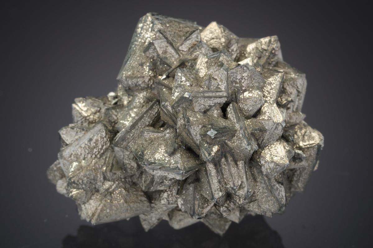 CC21008 specimen image