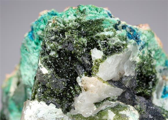 CC21540 specimen image