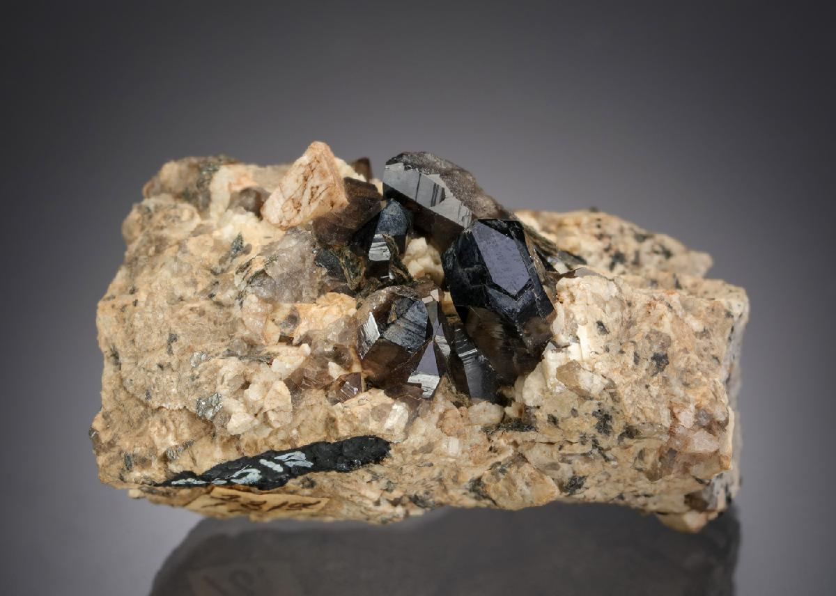 CC2238 specimen image