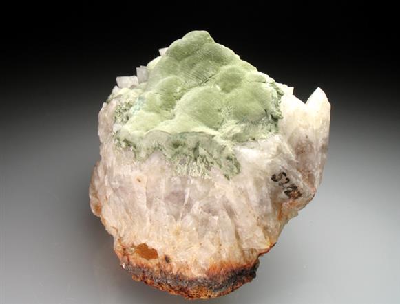 CC2260 specimen image