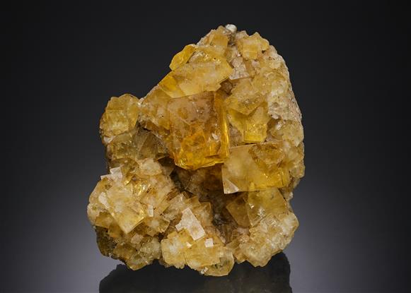 CC2597 specimen image