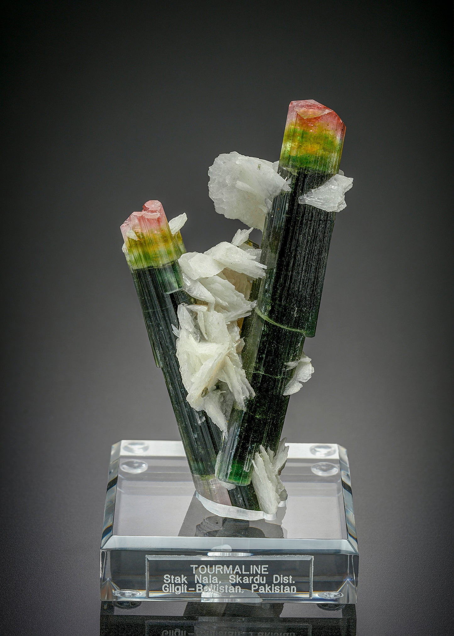 TOURMALINE group with ALBITE var. CLEAVELANDITE